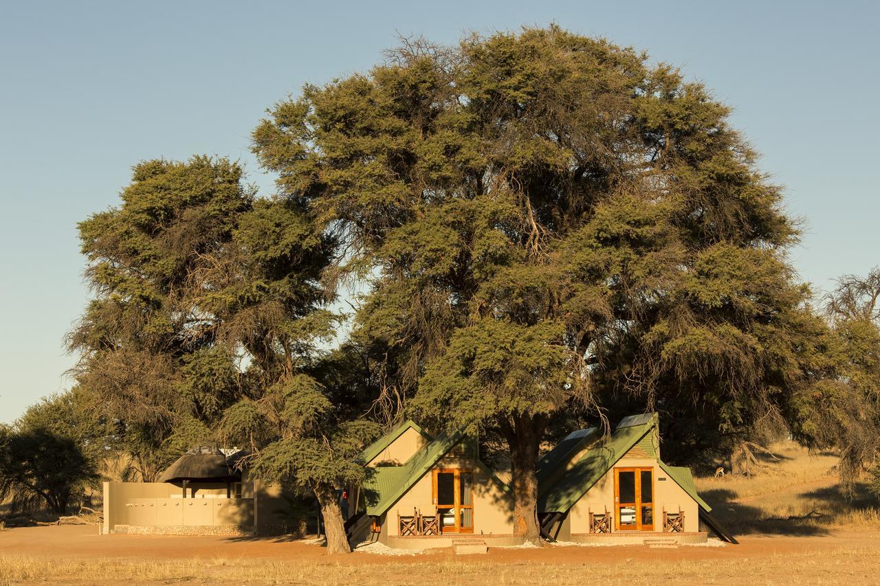 Kalahari Game Lodge Koës Værelse billede