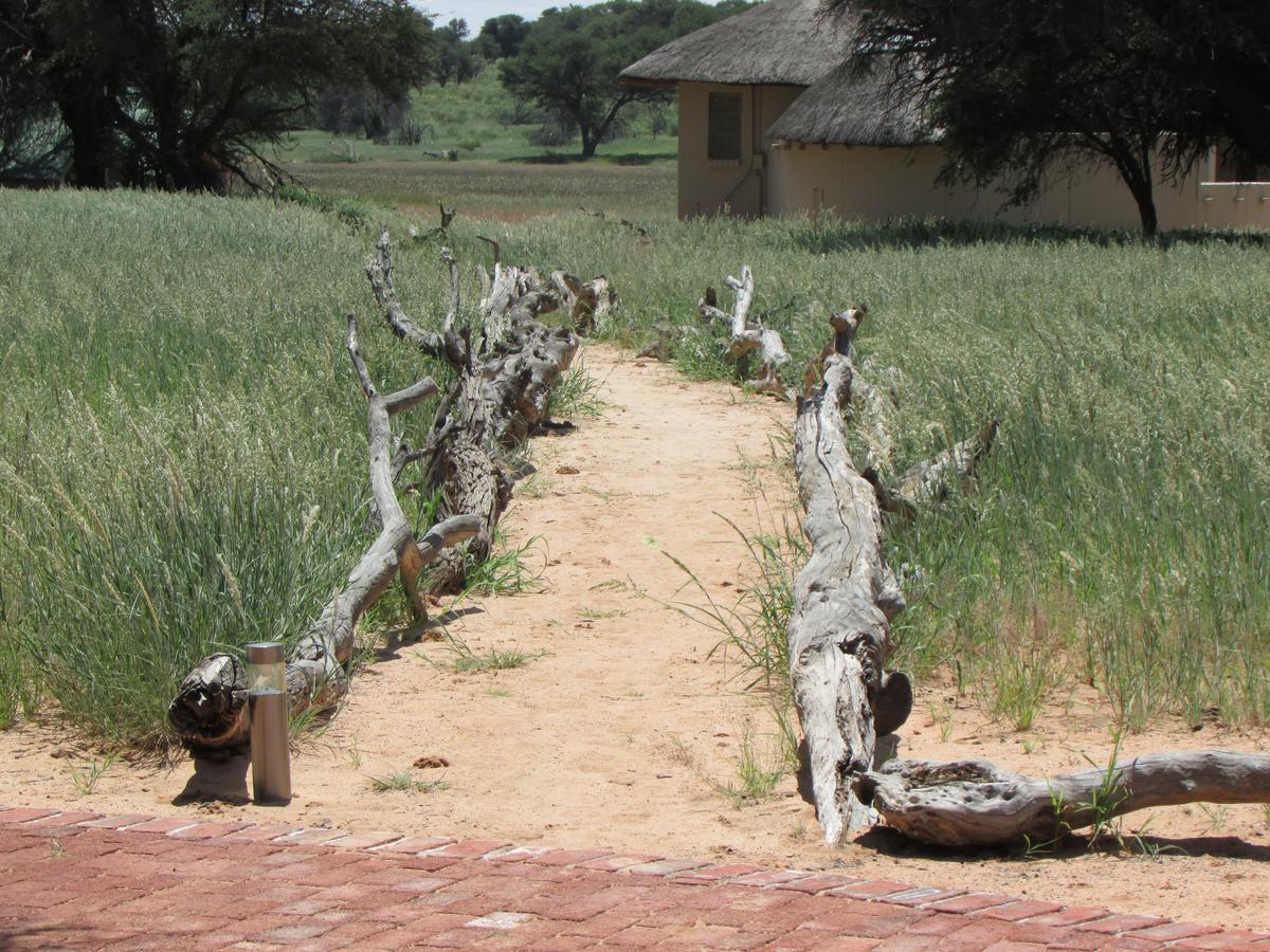 Kalahari Game Lodge Koës Eksteriør billede